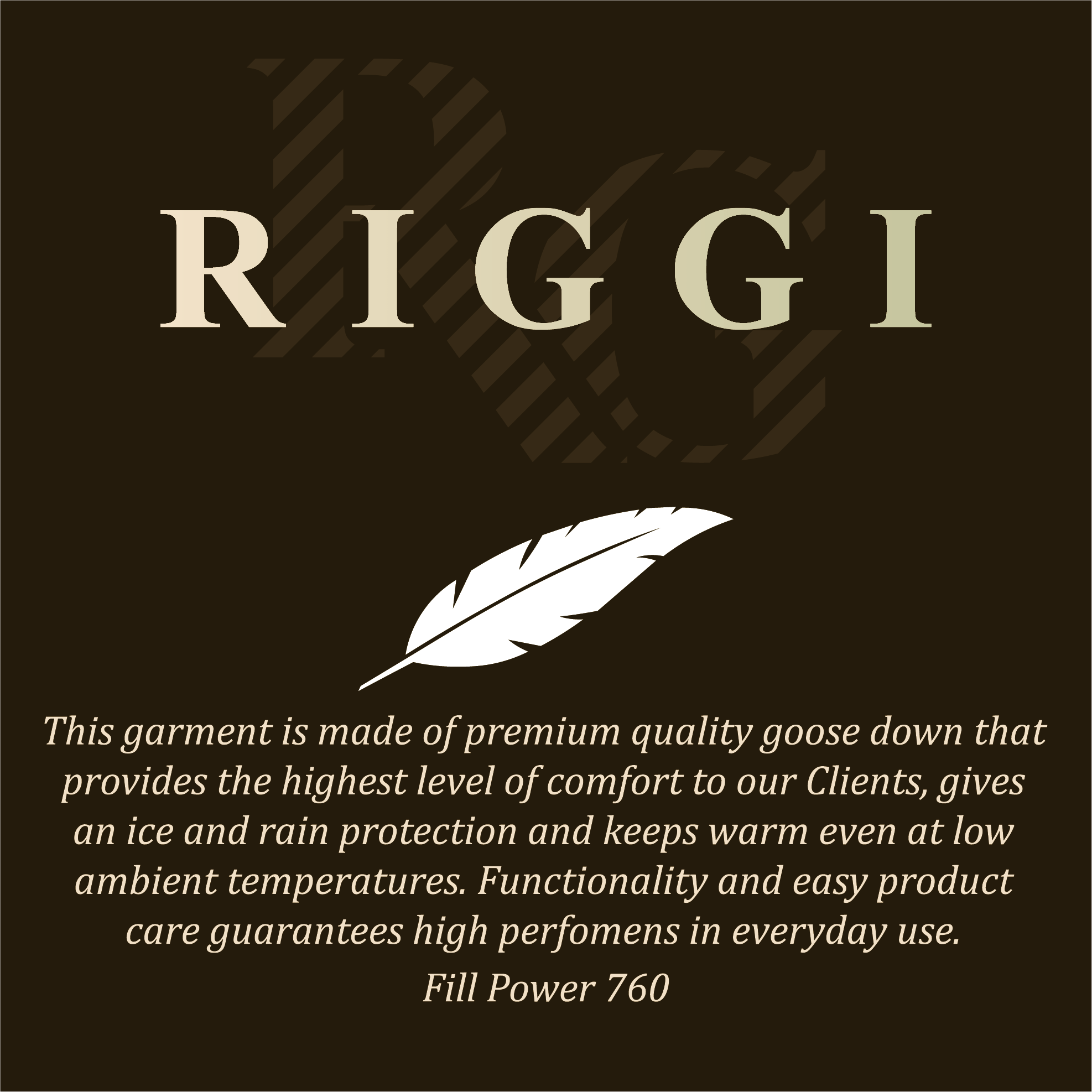 RIGGI (ООО "ЭВЕРЕТ")_logo_1653917716.png